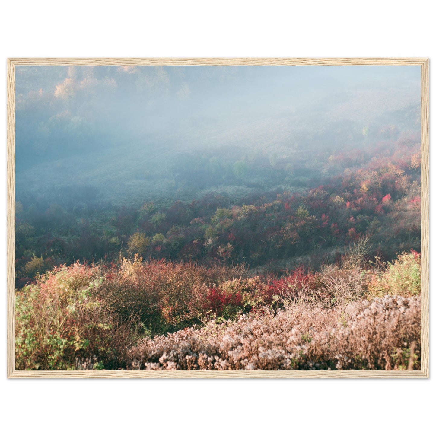 002b2ee8-0457-4b41-b50c-7aa4e0731c34