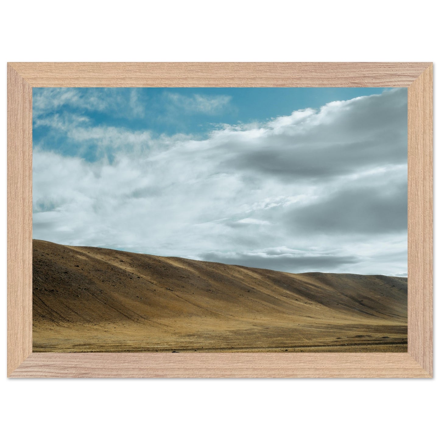 03d86742-3c81-4361-8be6-baa78bfd2e92