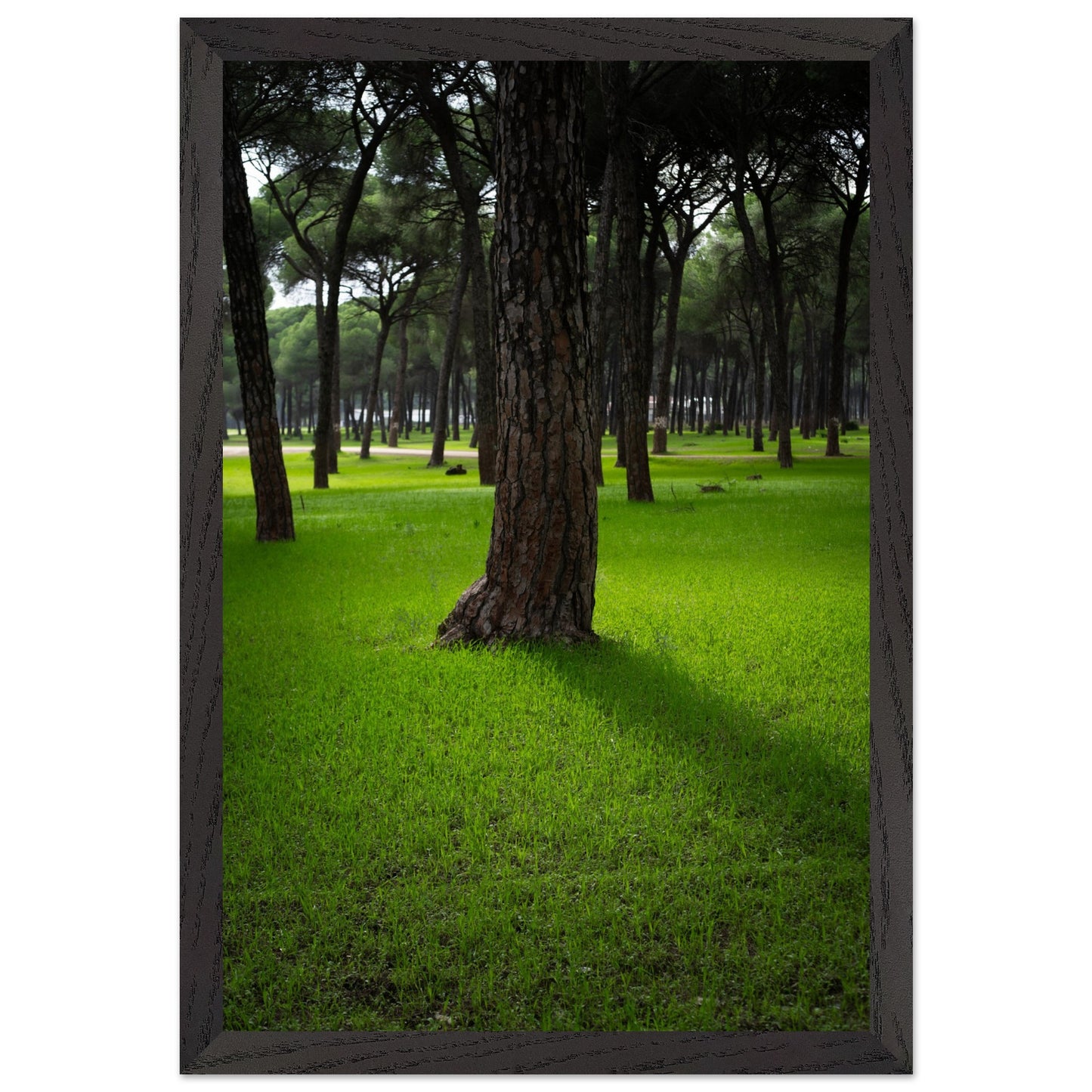 094105ac-d127-4c73-a757-b84273209195