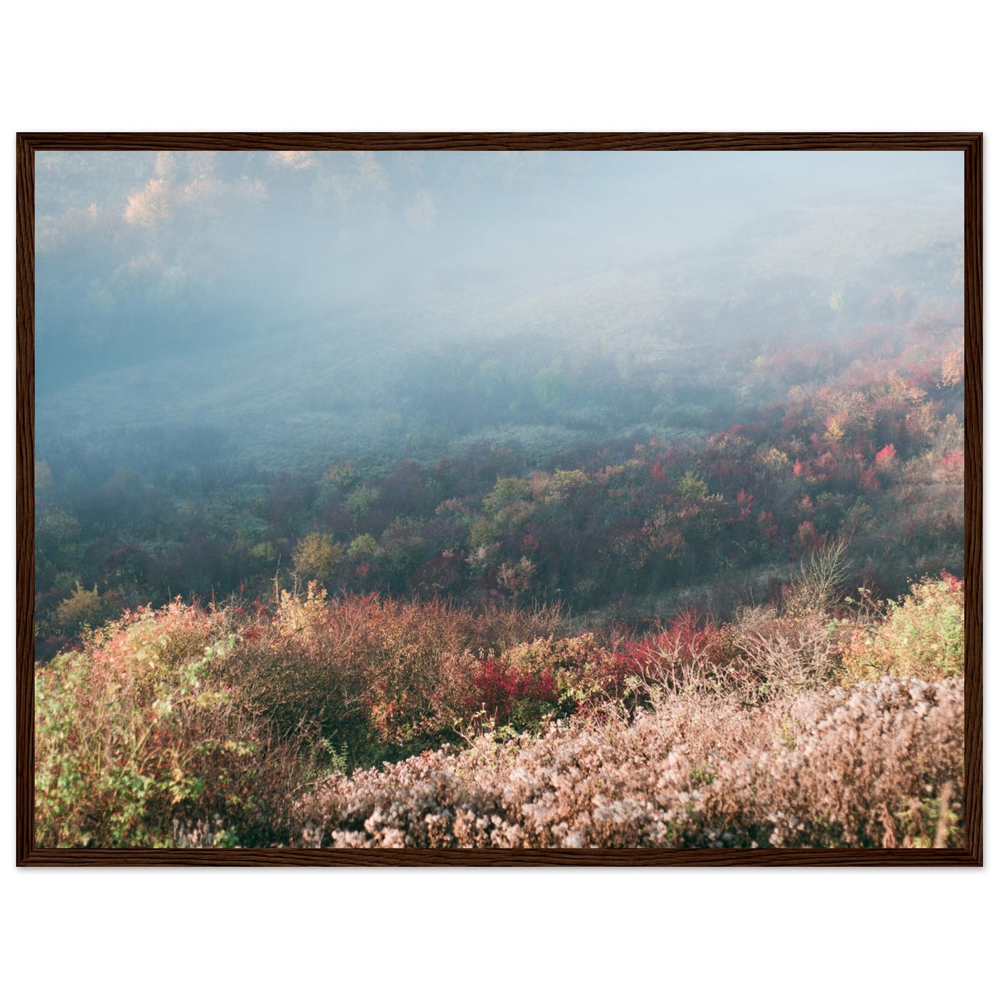 189ea18a-ce6f-4d73-b990-5f1f3163f881