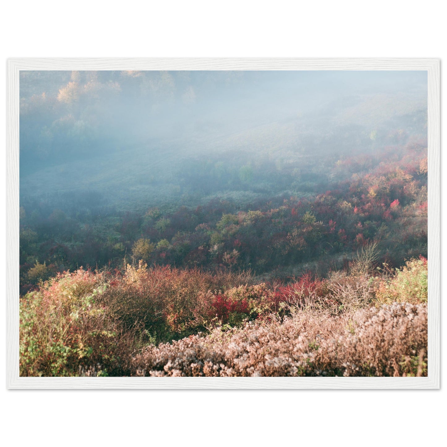 279681b8-c92f-4e8b-bd21-adbd62926238