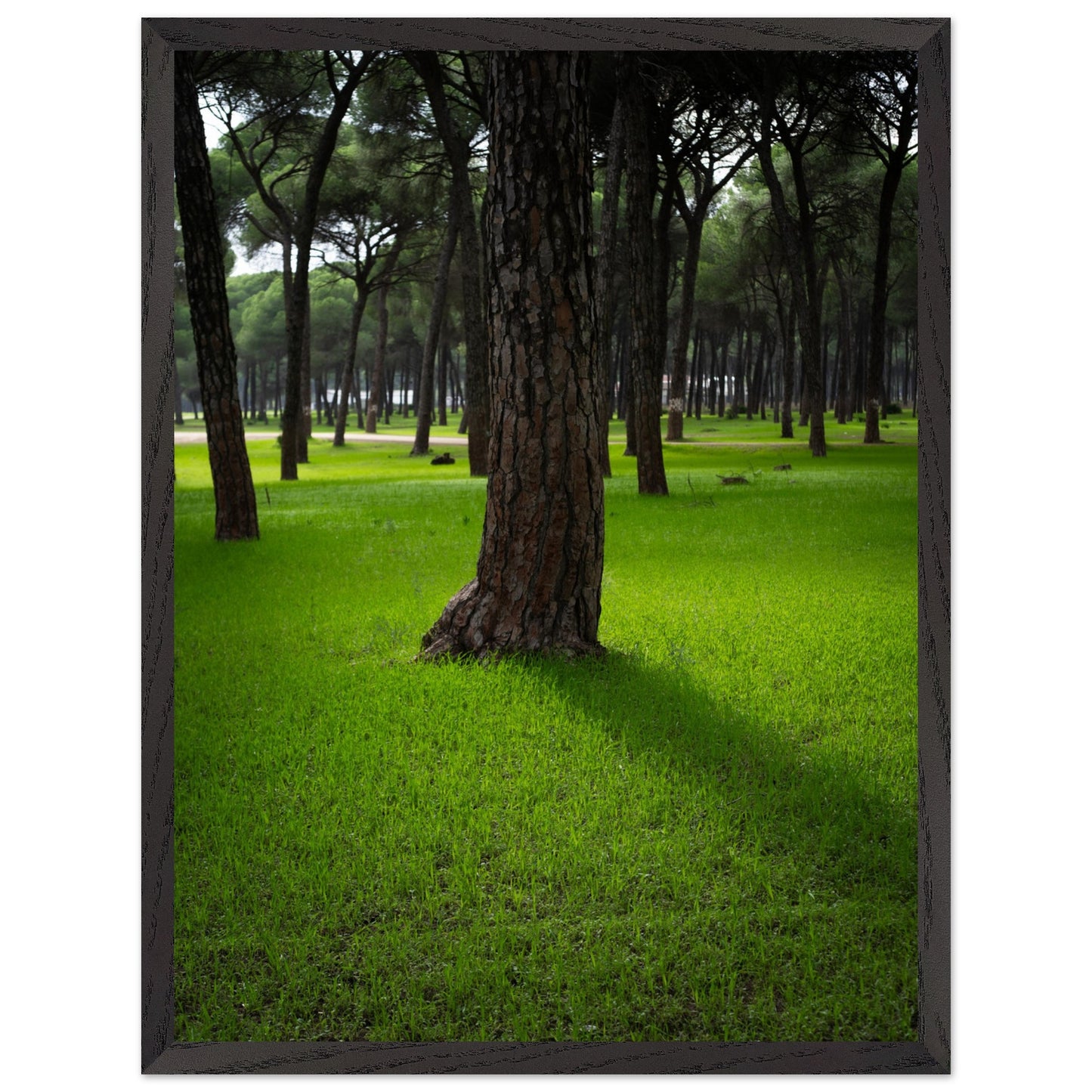 29101496-5f00-4dd4-9490-7103543d5542