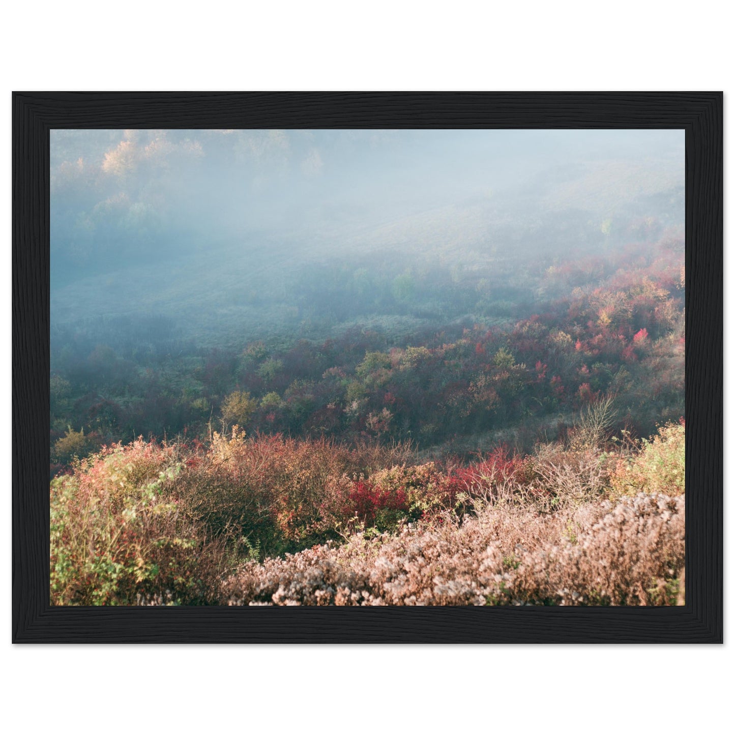 370bfbf3-c1da-4894-80ff-2217a491e6b5