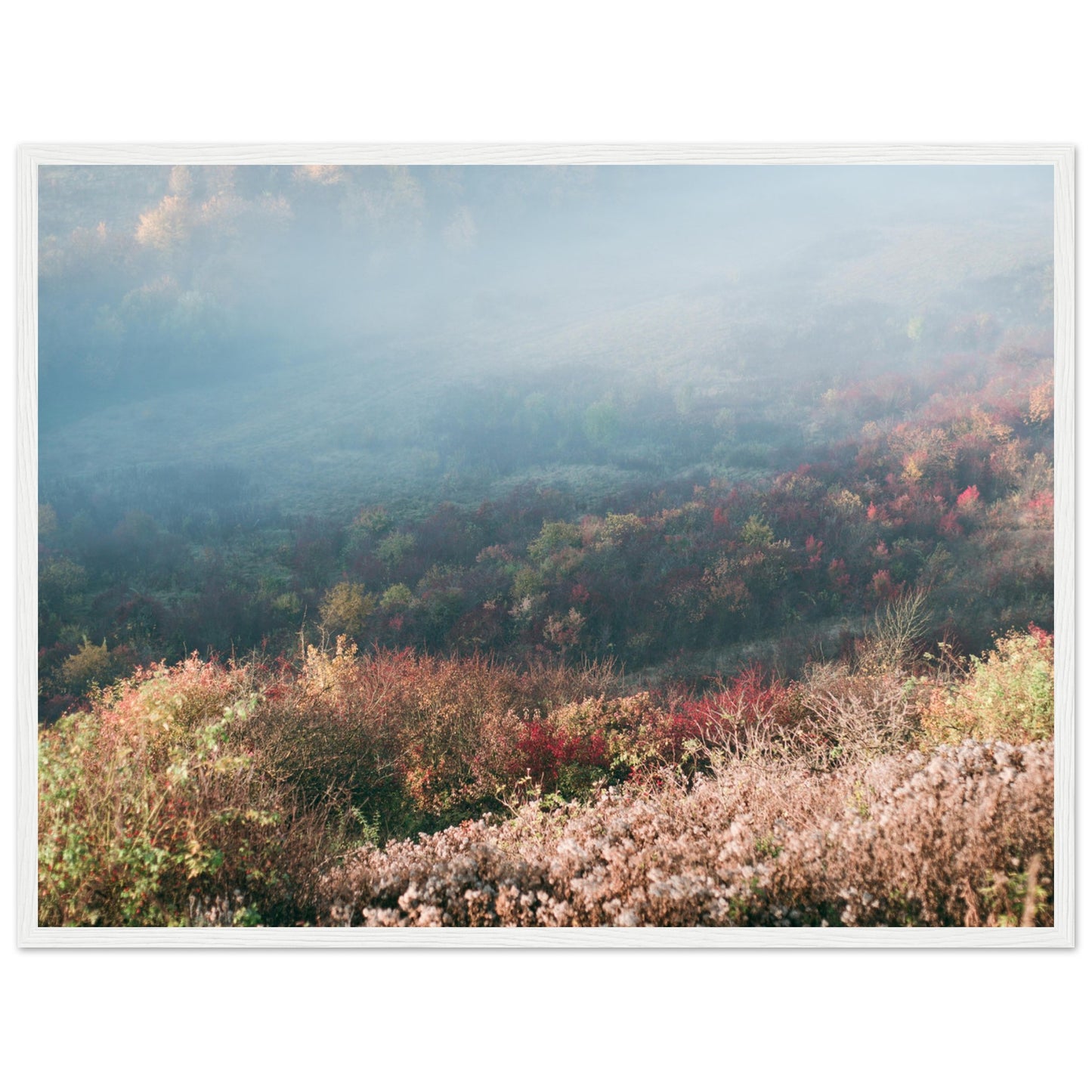 49311cbd-7fcf-4274-a271-3e28099a668f