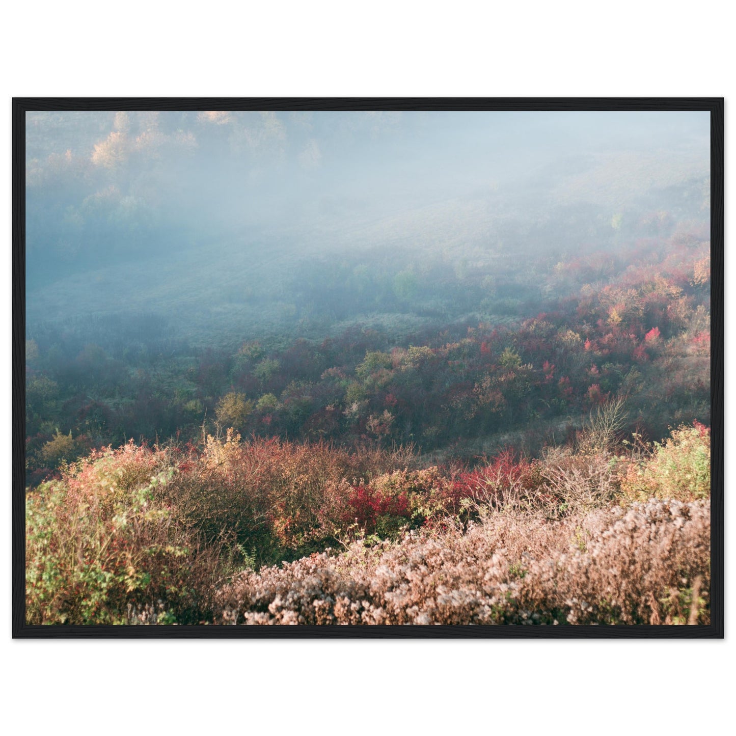 4b191501-97b4-4ca8-bd51-60f428ba38e3