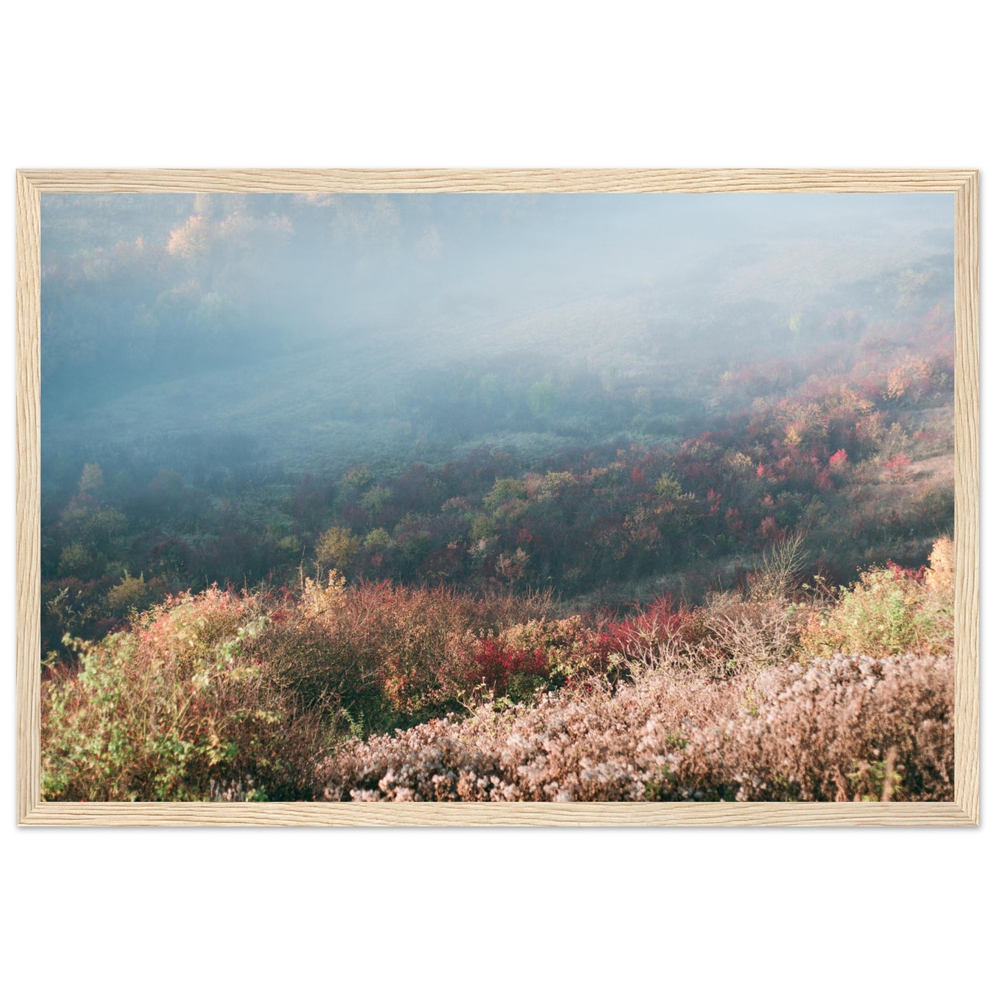 638f48e7-cc34-4c55-8c95-7d32eb019bed