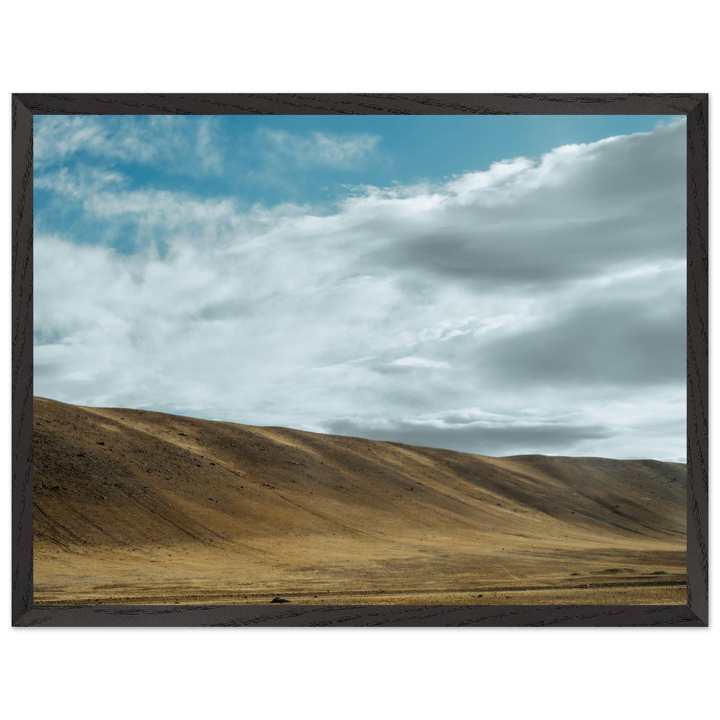 6d0e1772-67df-441d-8b86-e8ca9dc2b2ae