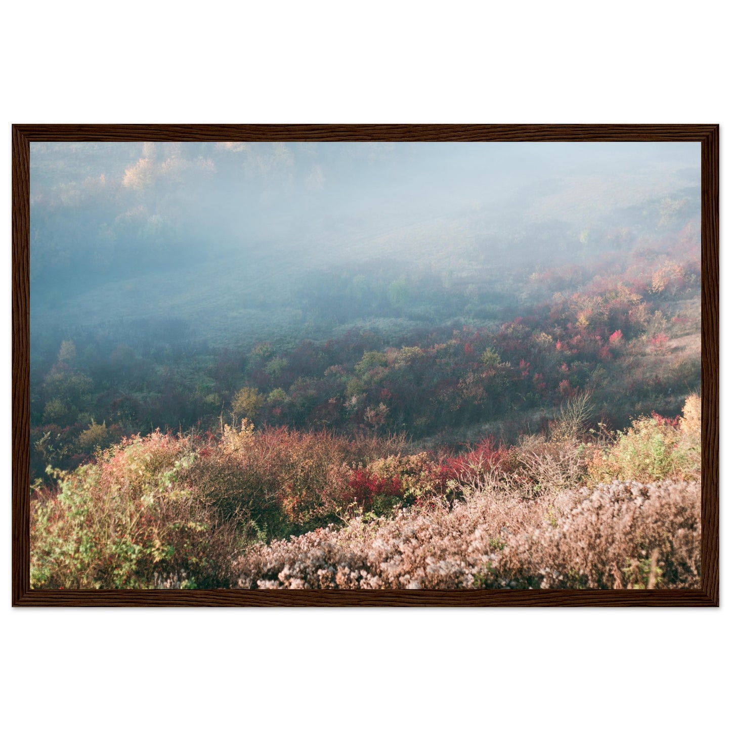 7335cce2-d926-4f5b-ade8-0322b8ea58d9