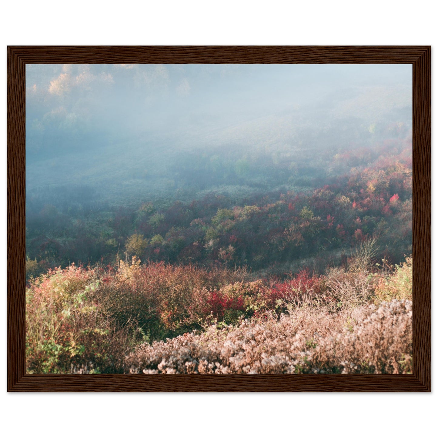 7b0203de-8078-4e43-8407-a9ba9e77039c