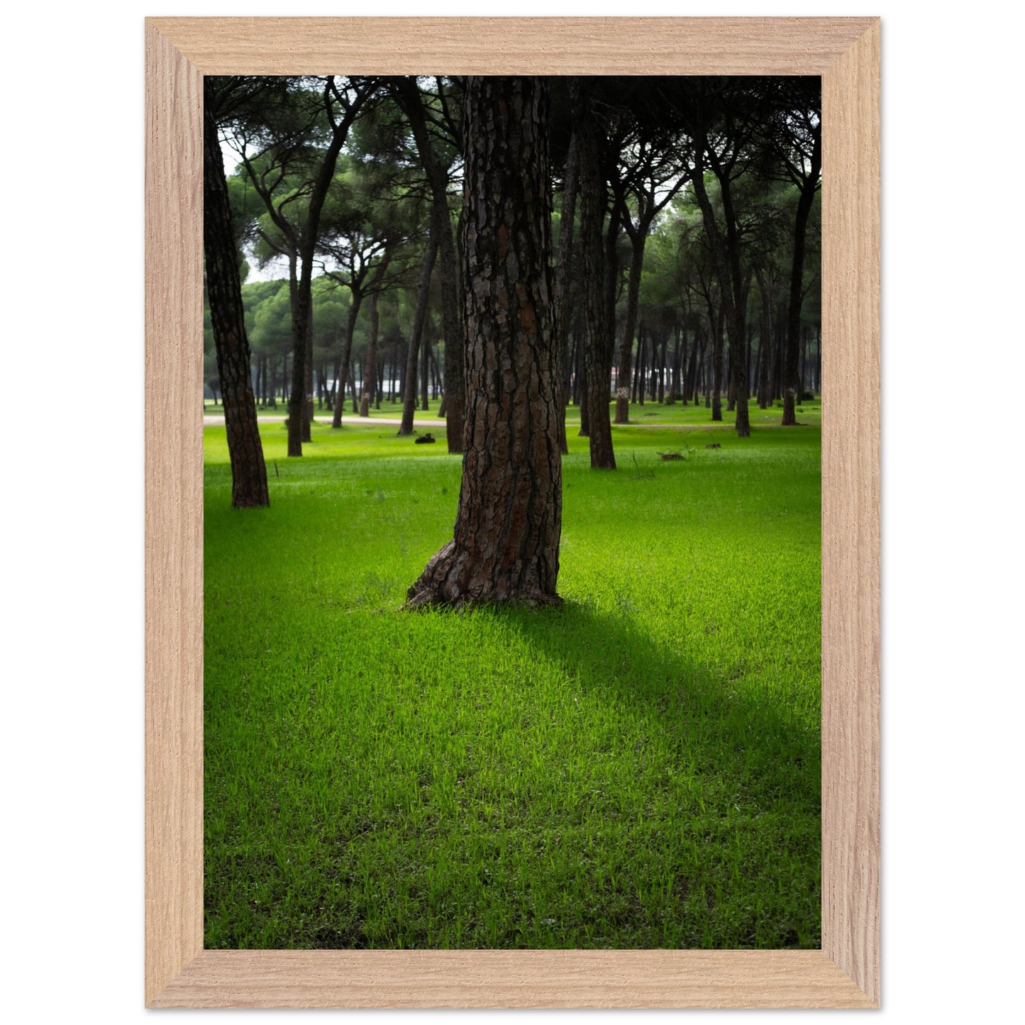 8110dc98-0c21-4cdd-831a-a5b105156156