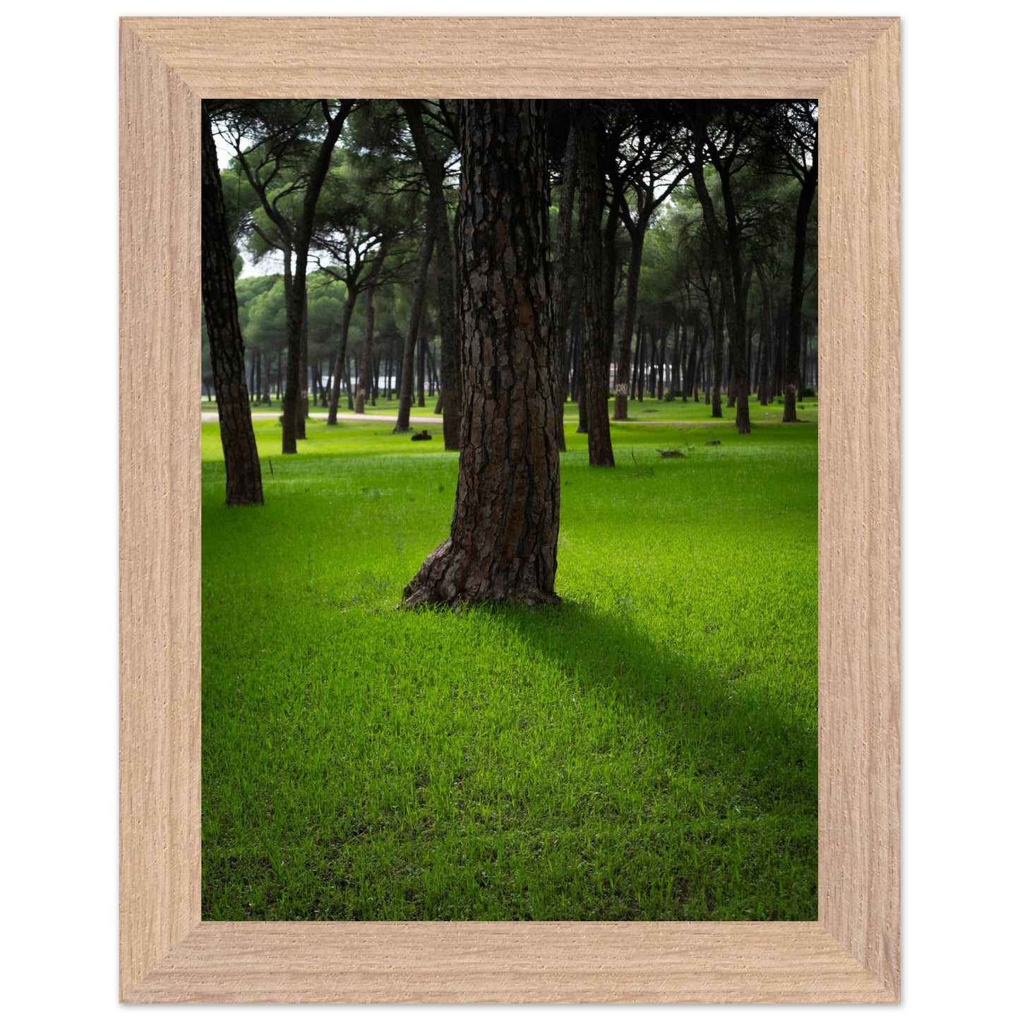 814ded3d-7063-4926-94fe-96e4ab46297d