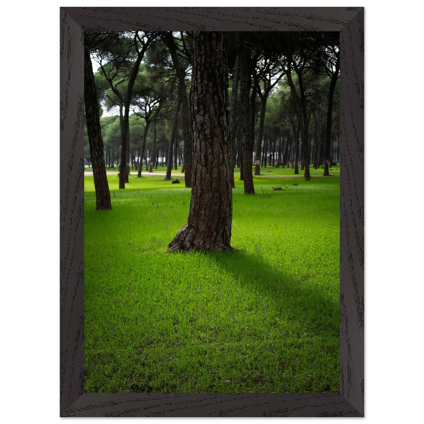 81e7c141-493e-405c-b1a3-527ca6401629