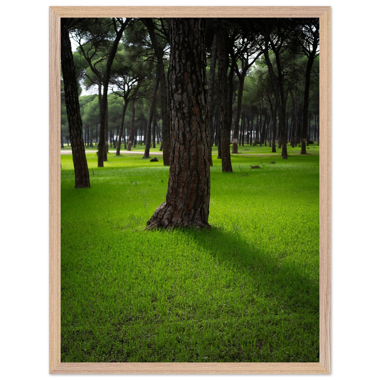 84ad498e-f1e0-42b0-9274-eff0ea7ab5ec