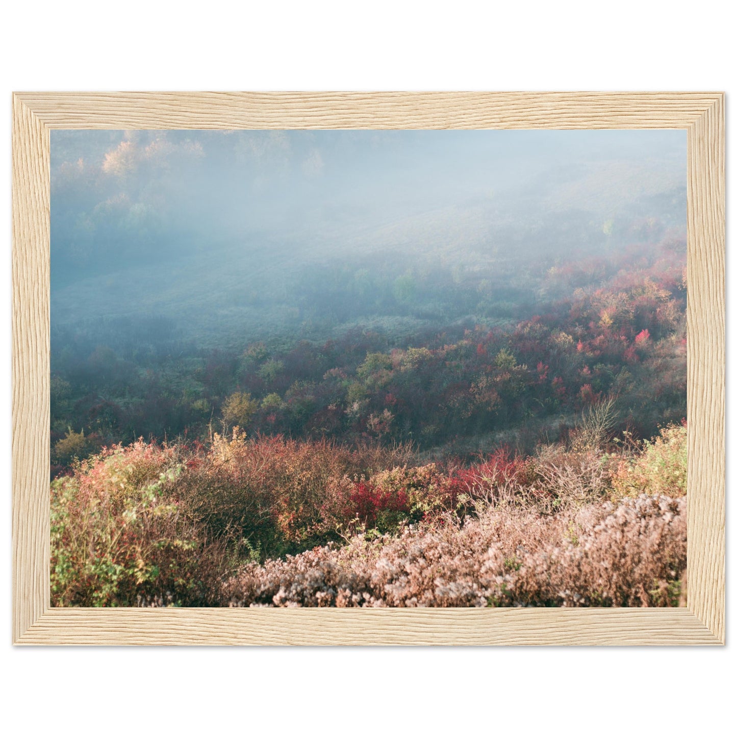 8d424653-ae0e-4cd0-9a18-43c14fb22ecf