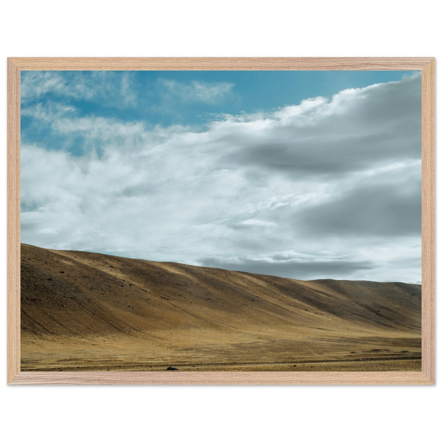 8e456e2b-51cf-4d6b-b09a-4664dc7b7da0