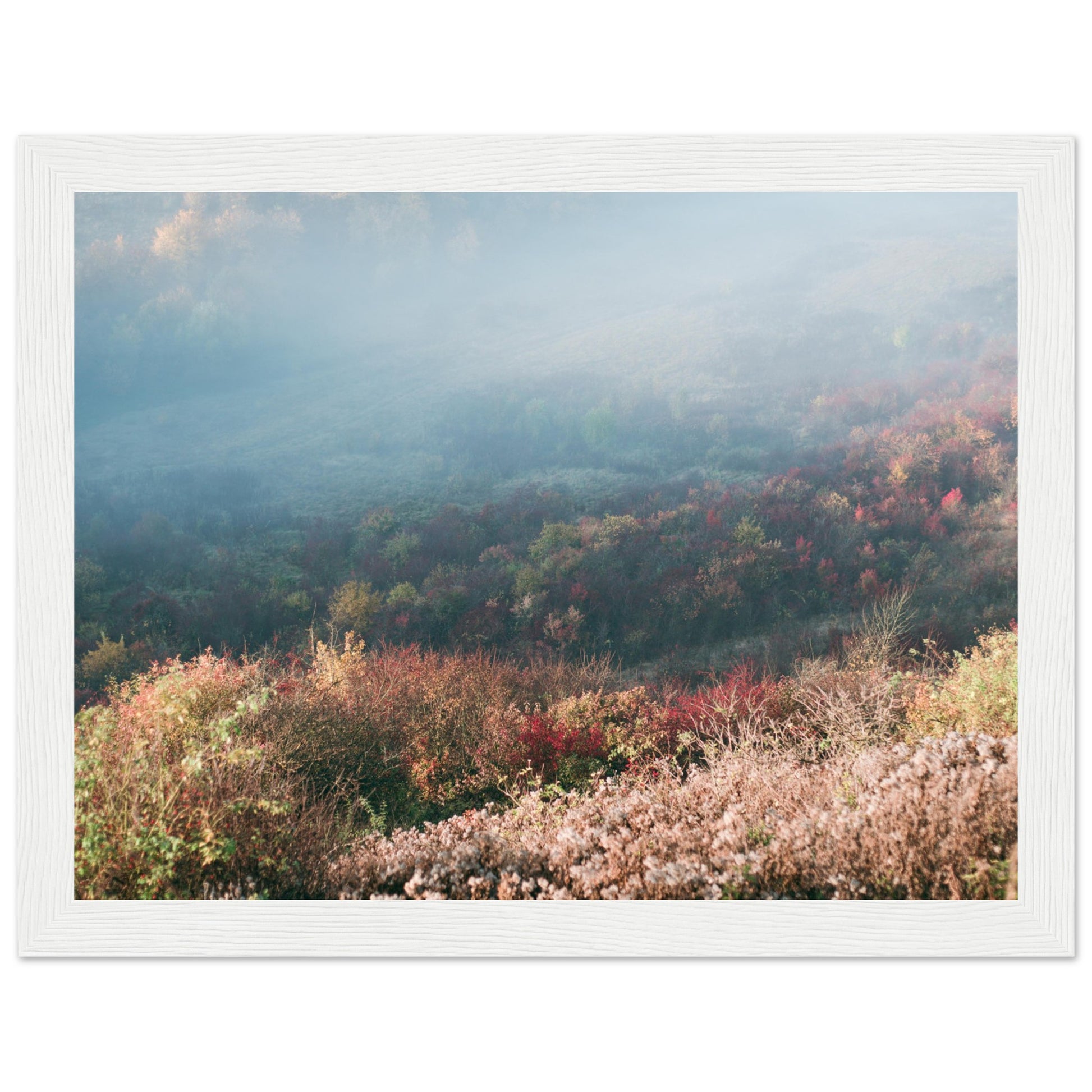 a00aa5fb-95c5-4d34-8687-bbc3a640217e