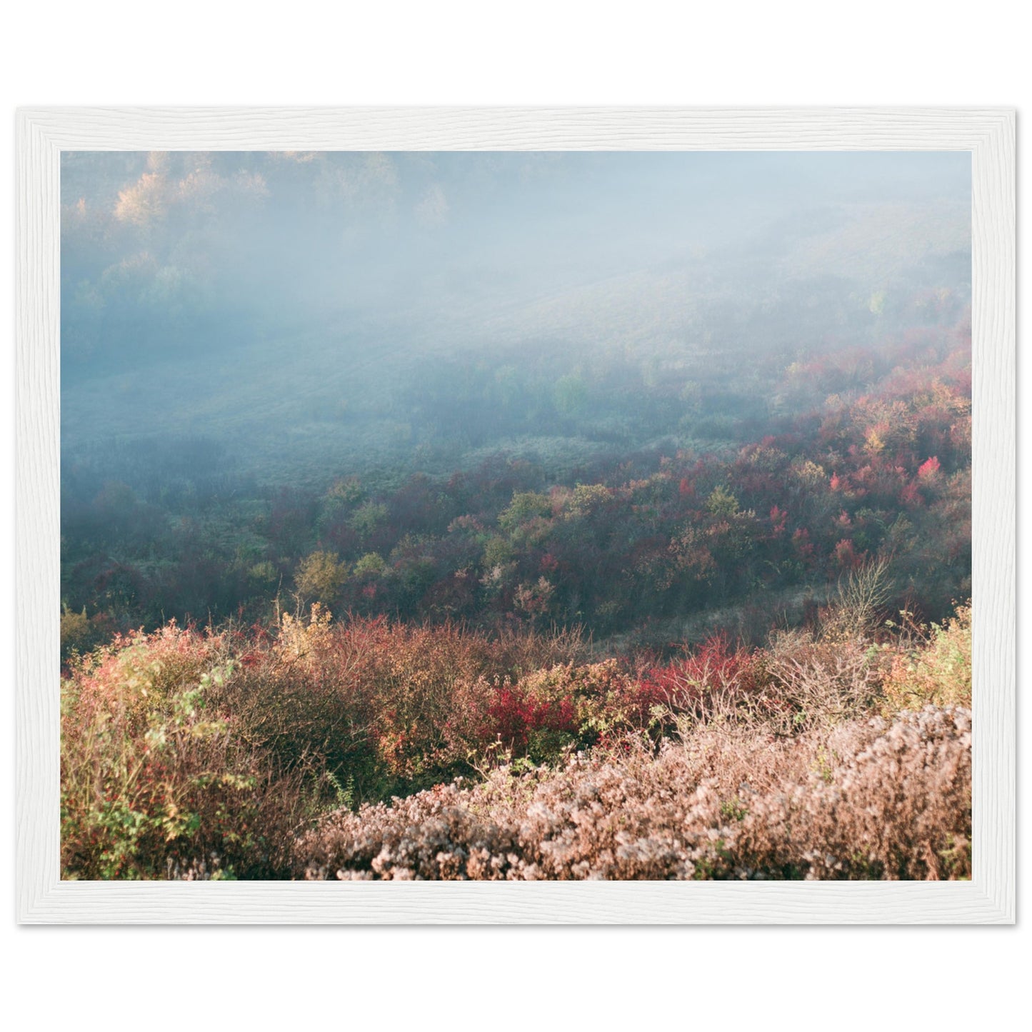 a3346432-63f2-4c06-bd73-3d867ecb1c52