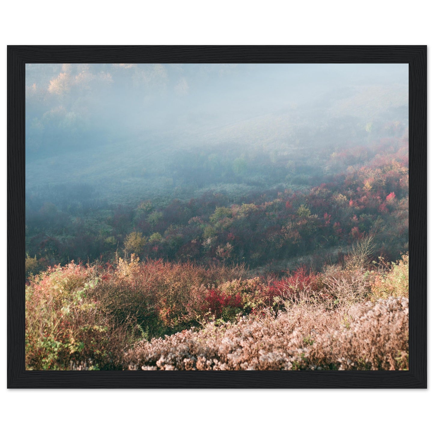 da176669-f81d-4a5b-8175-d9cb057e5e7a