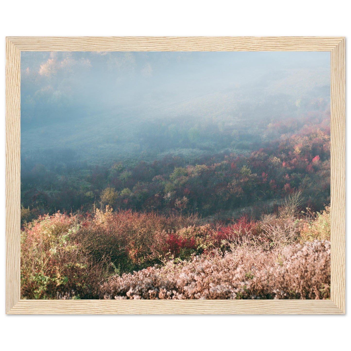 db53f836-a2df-454a-9906-e08aecc55a59