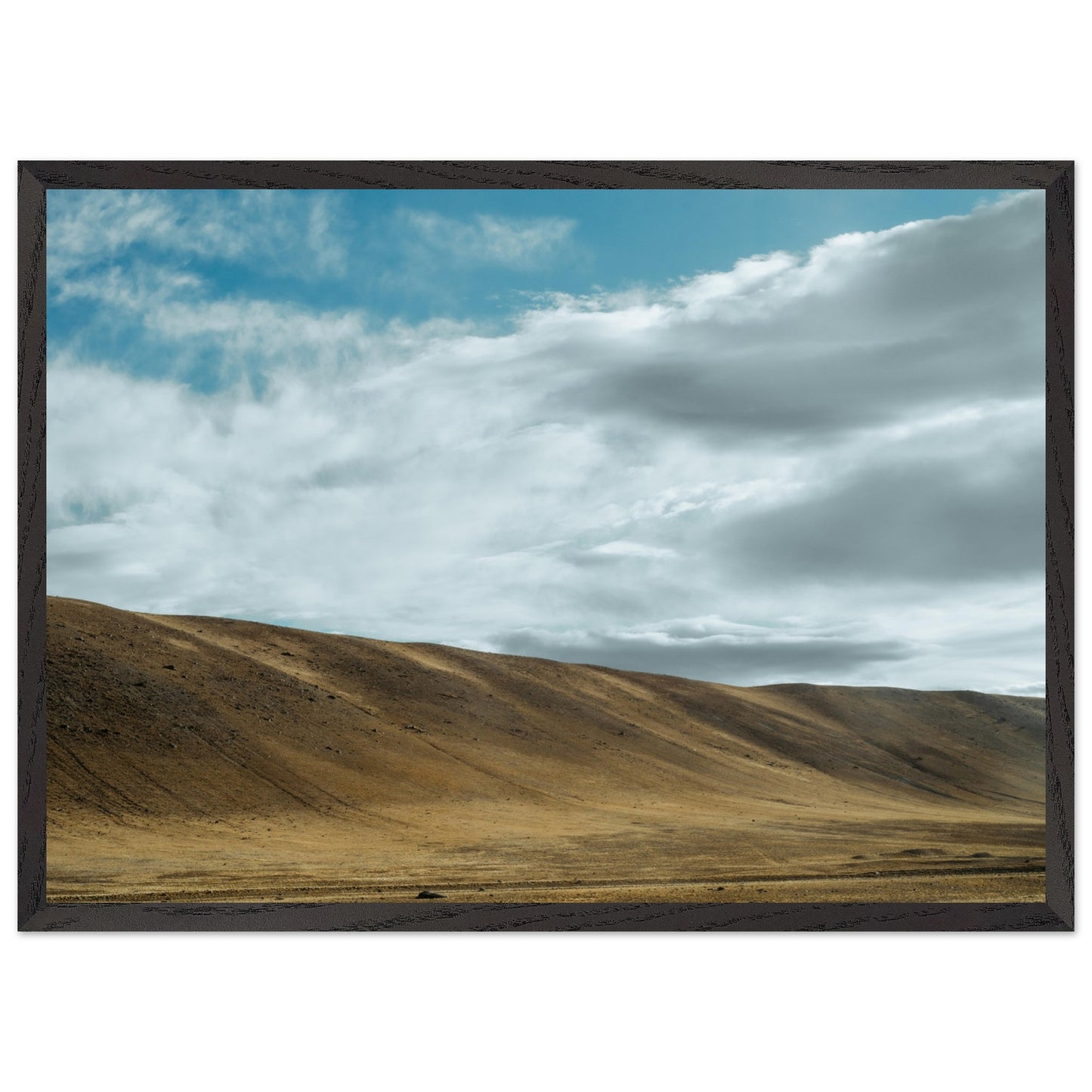 e4bc9015-05db-488a-ad0f-0dc1ddd71b10