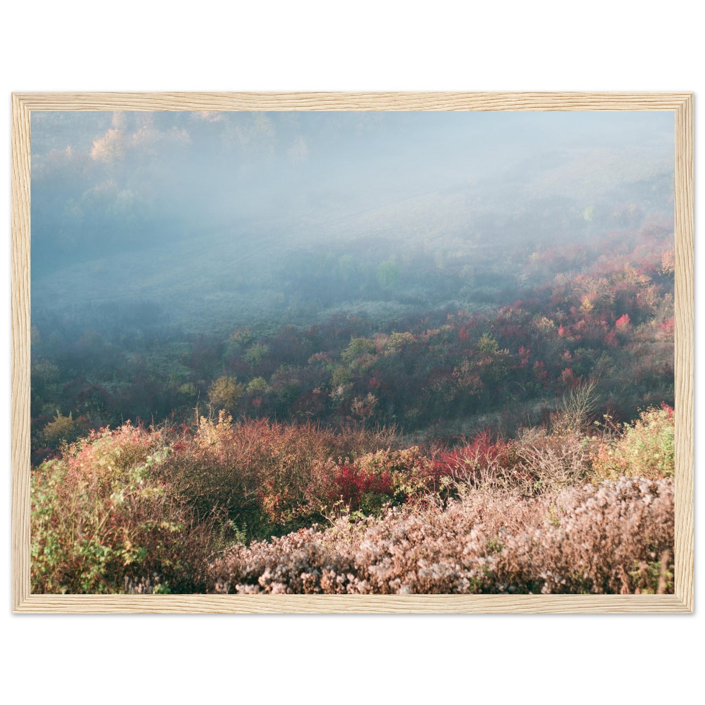 ee27d727-af84-4159-bb81-44f3c288796e