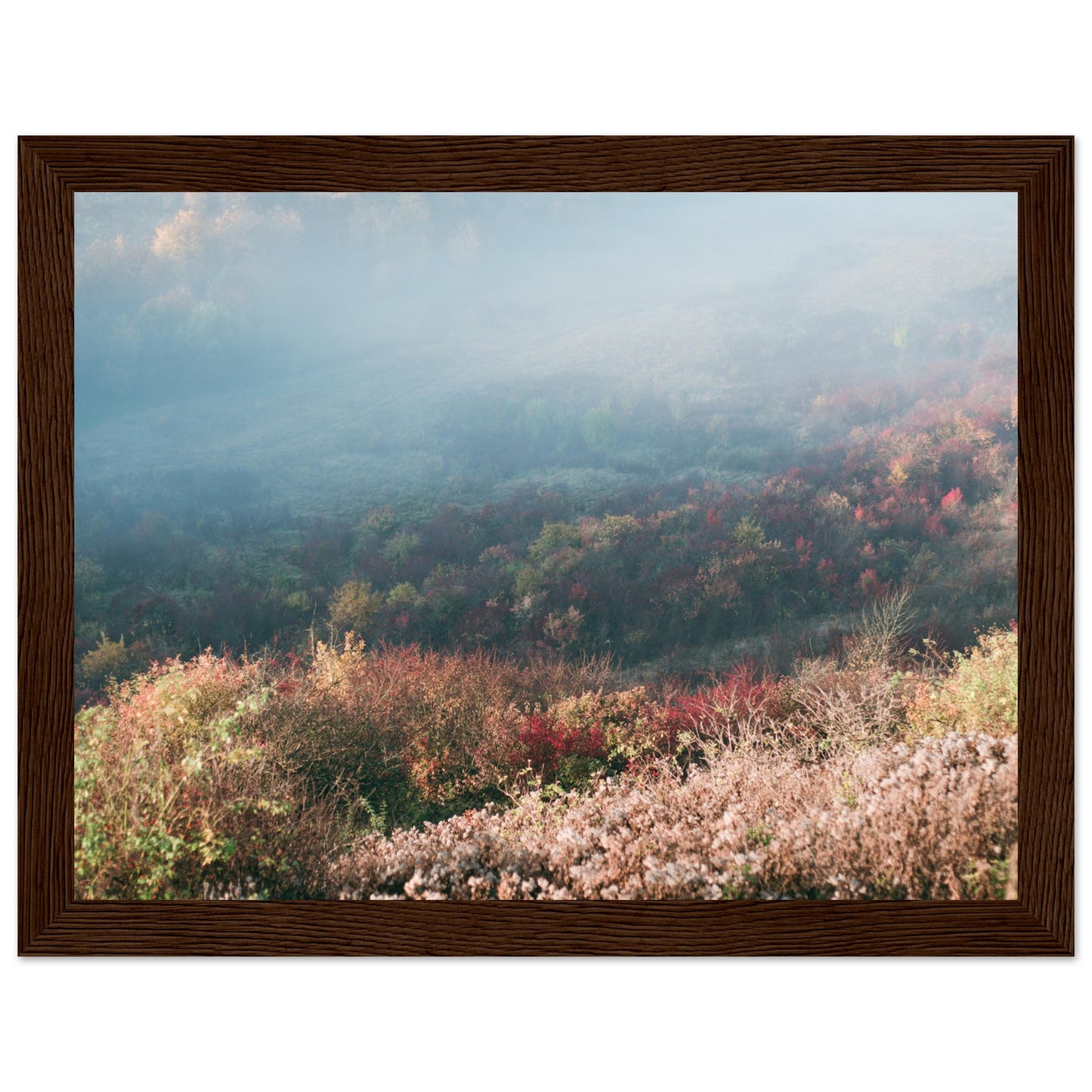 ee76cb1c-86d9-4903-8ffe-ebc1519caba3