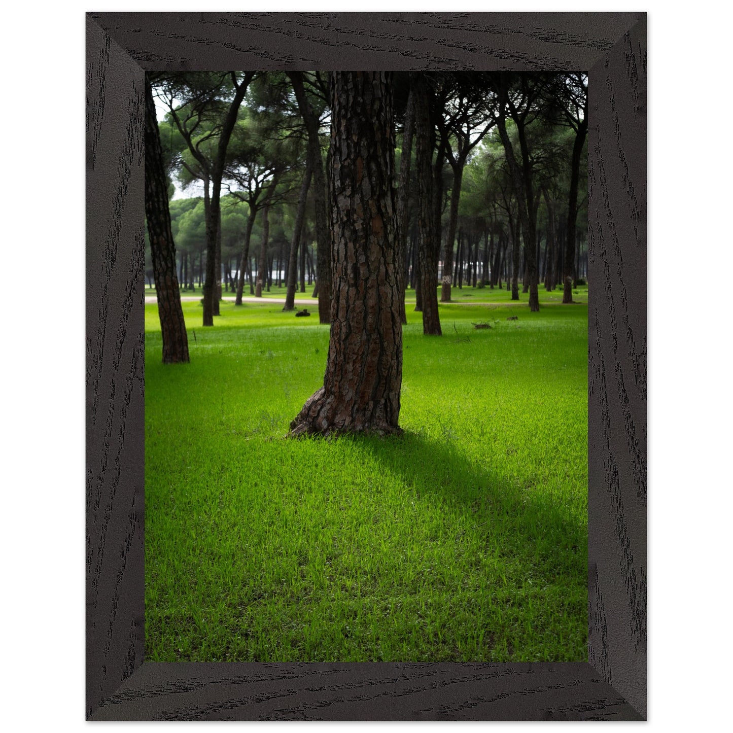 f2dd2ccb-8c58-44bc-8190-9a73743bd21b