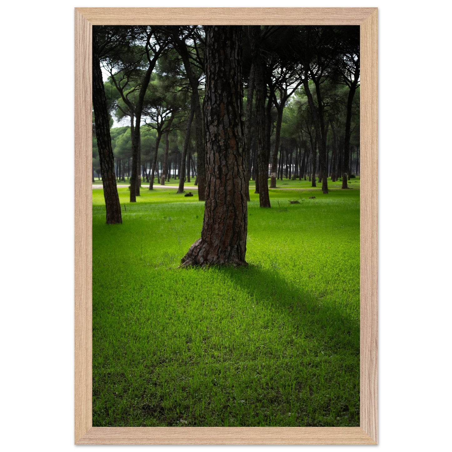 f8542454-2fa6-40ed-8da9-5ad352f04e9a